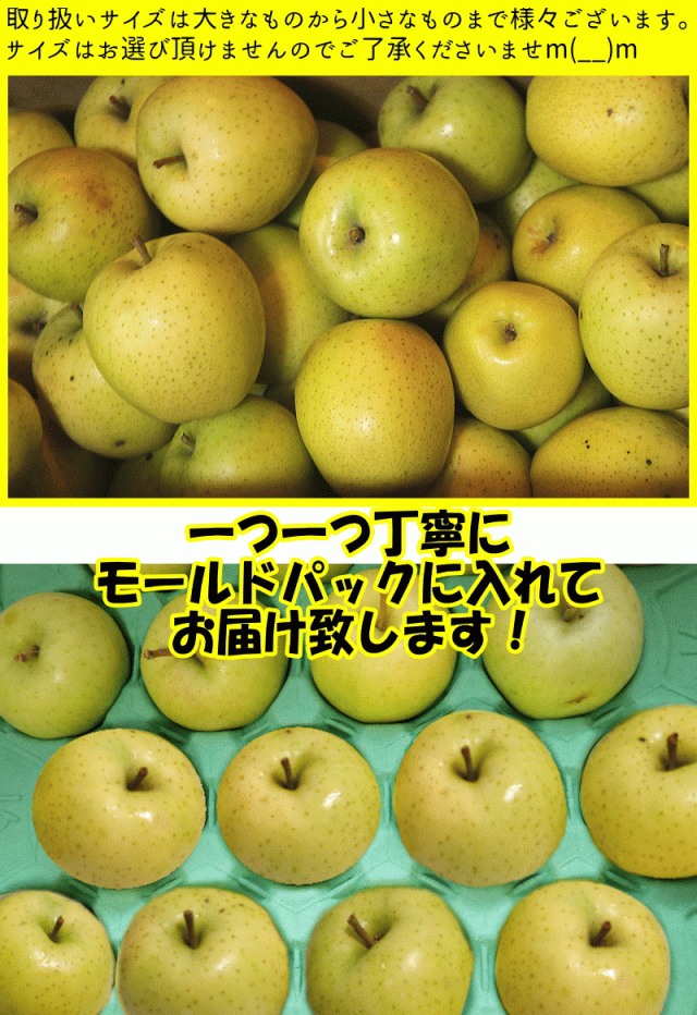 モールド