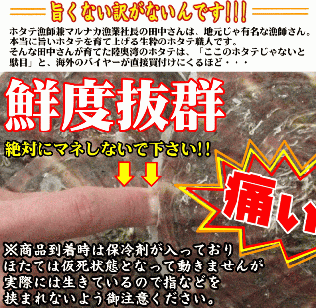 鮮度抜群活ほたて