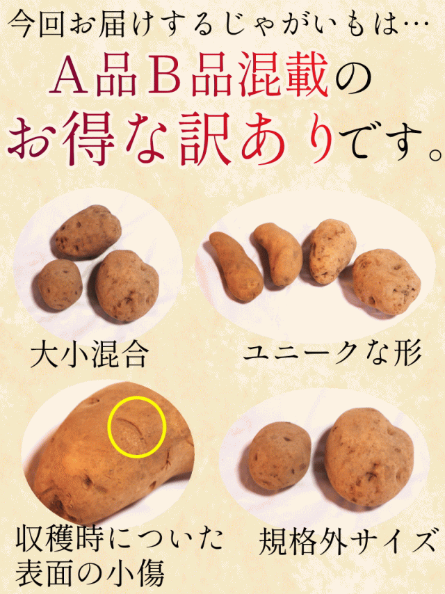 じゃがいも わけあり