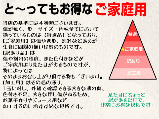 ご家庭用ランキ