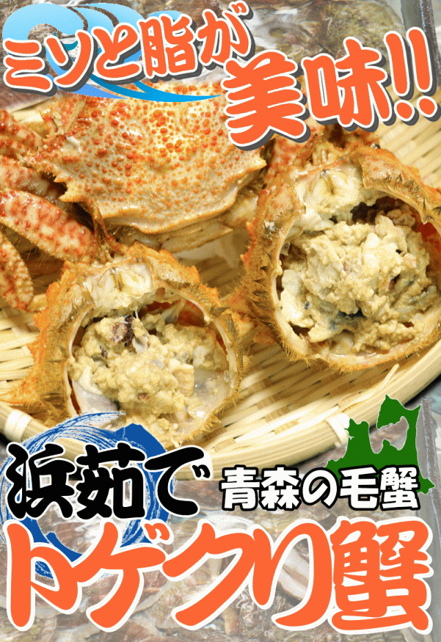 青森毛蟹 トゲクリ蟹オス