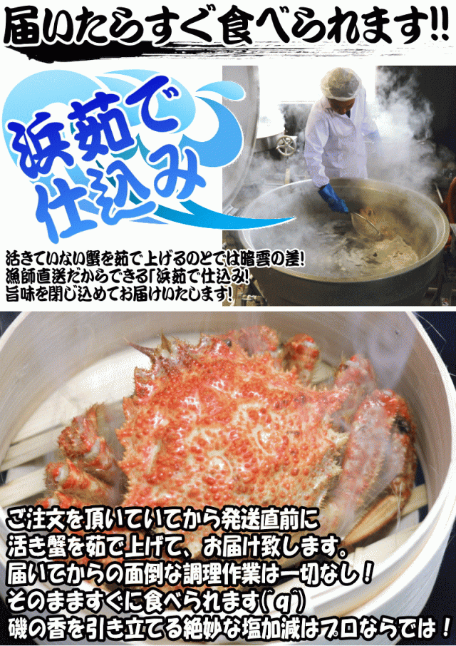 浜ゆで 漁師直送