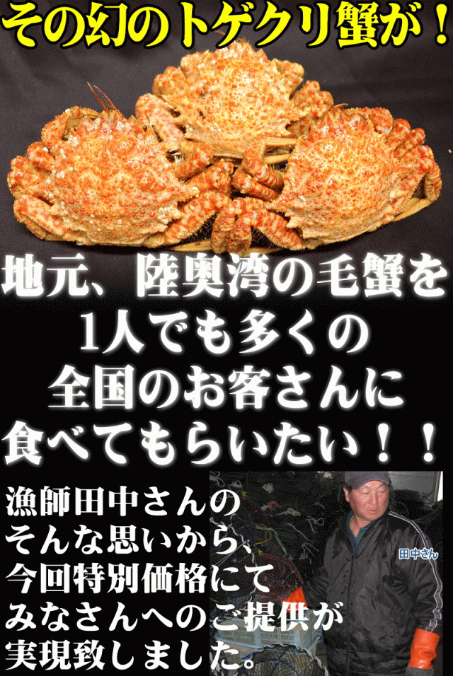 伝説の蟹を漁師直送