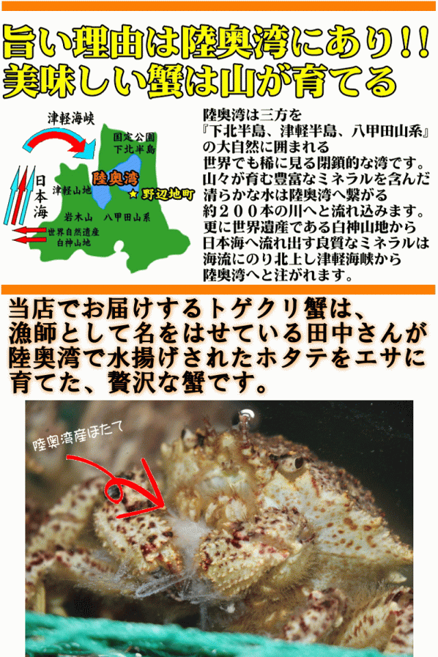 うまい理由は陸奥湾とエサ