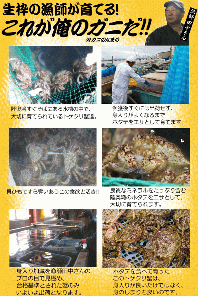 こだわりのエサ