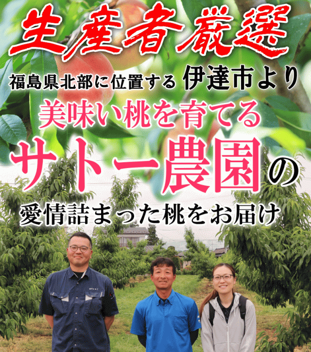 福島伊達の桃
