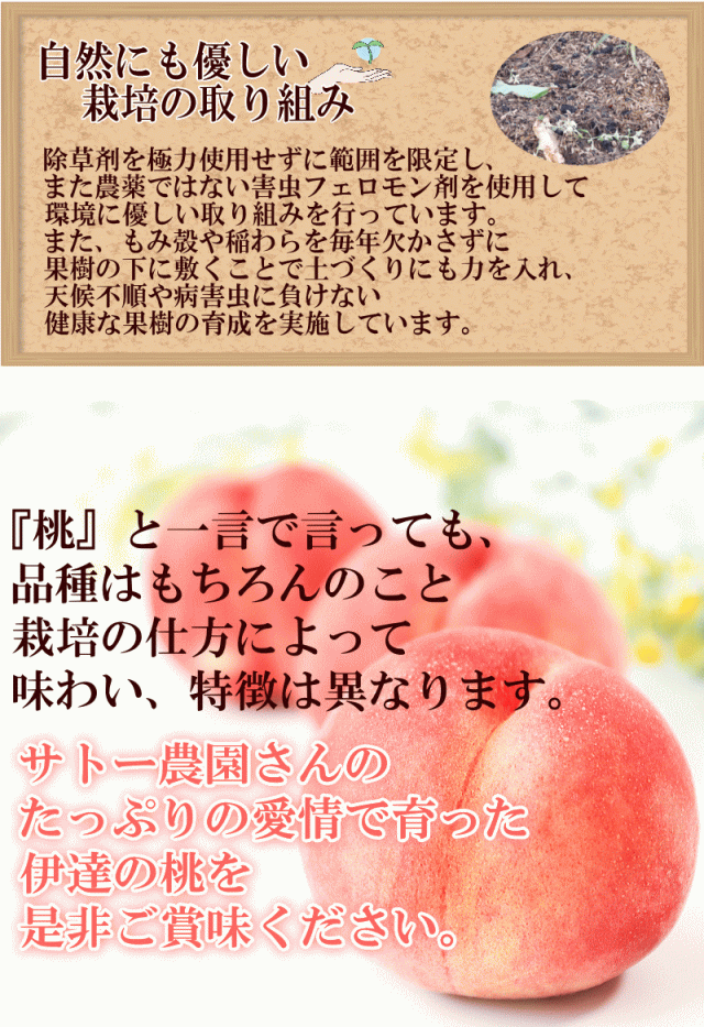 環境にも配慮
