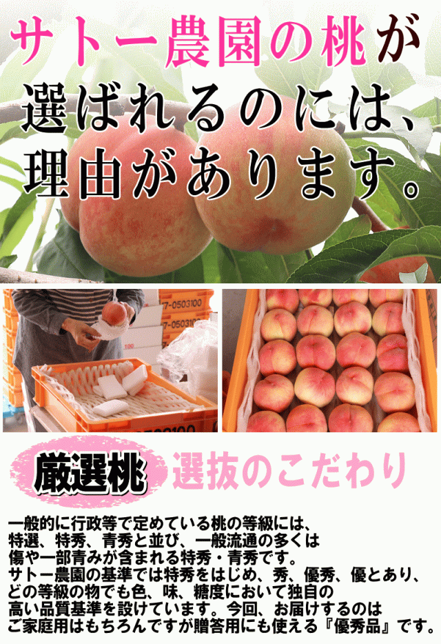 選ばれる理由01
