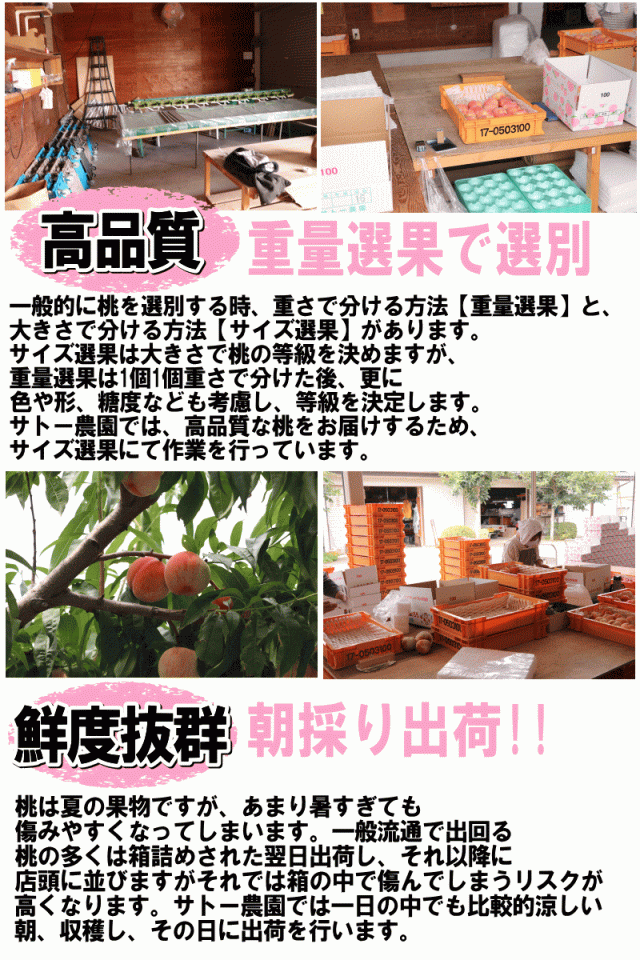 選ばれる理由02