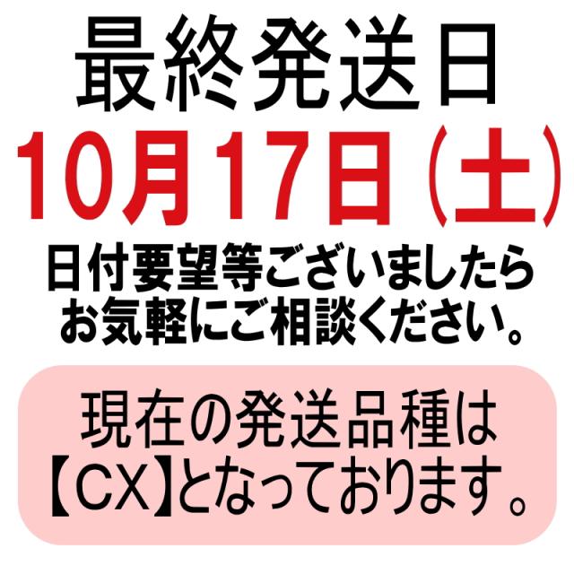 発送最終