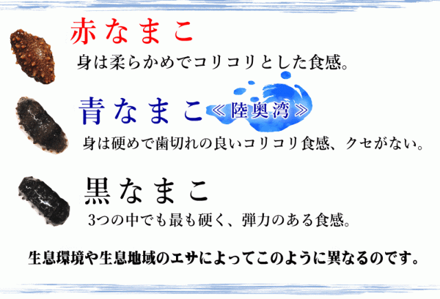 なまこの種類