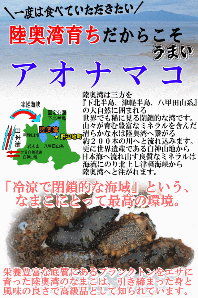 陸奥湾なまこが美味しい理由