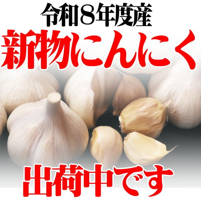 新物