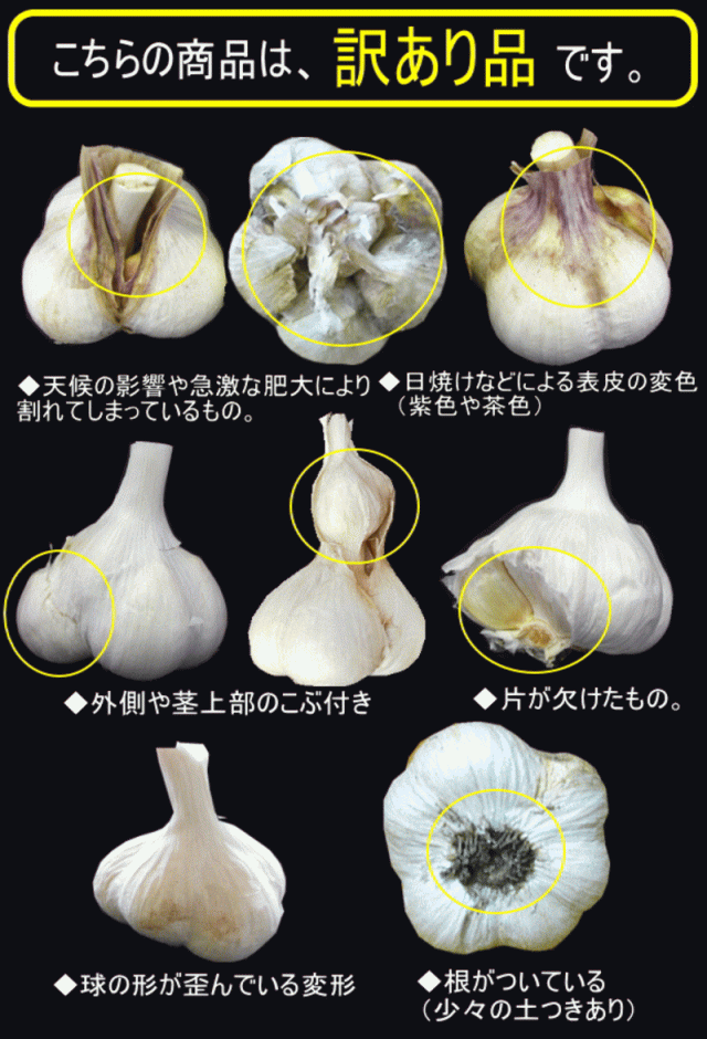 にんにくの訳ありについて