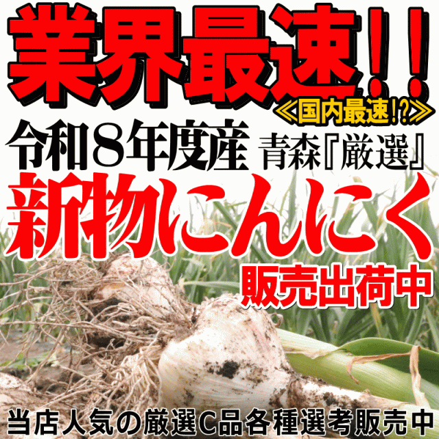 新物