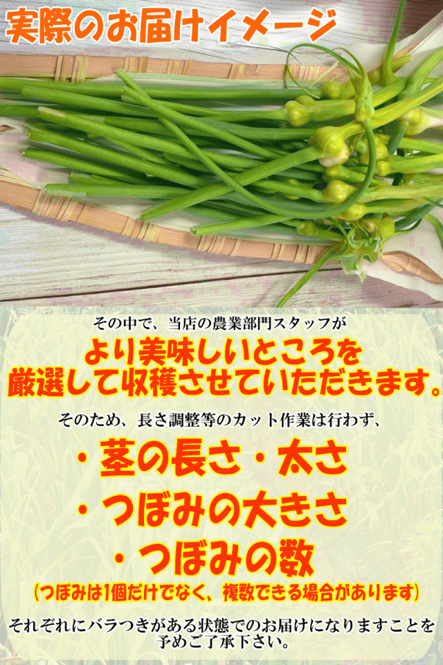 お届けイメージ