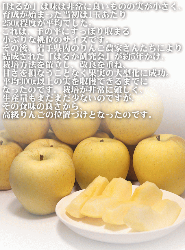 はるかの誕生02