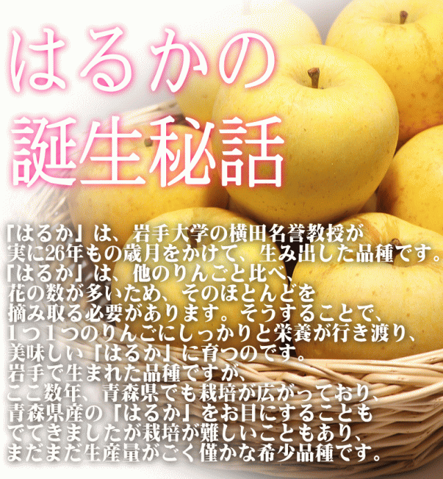 はるかの誕生01