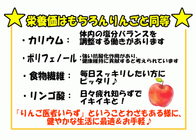 りんごジュース1