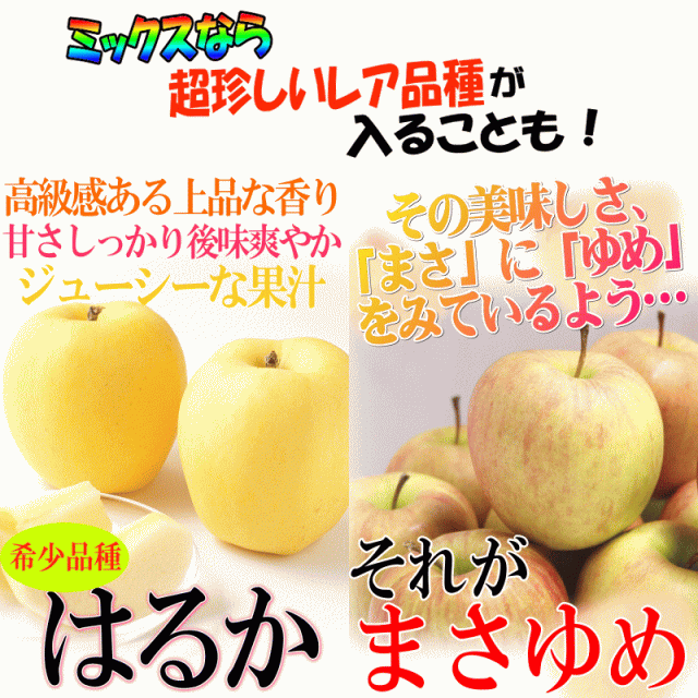 はるかまさゆめも