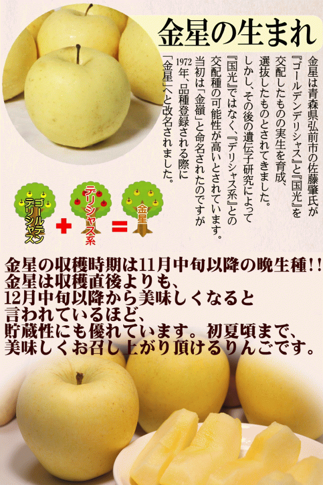 金星の生まれ"