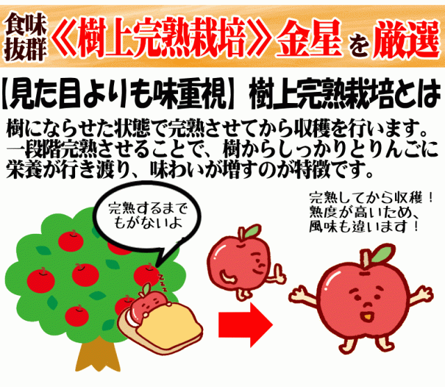 完熟01