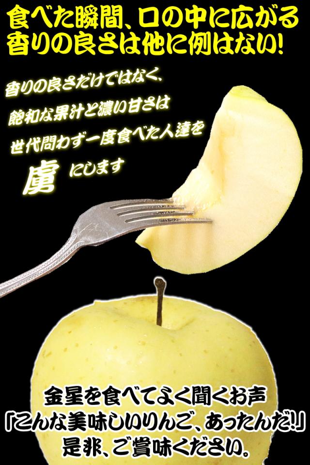 はまる人続出