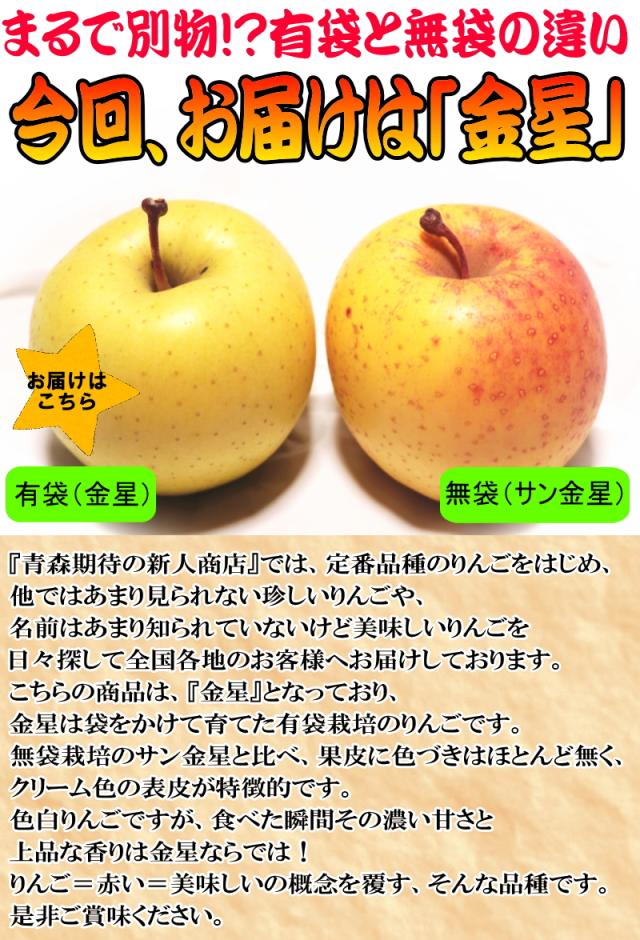 サン金星との違い