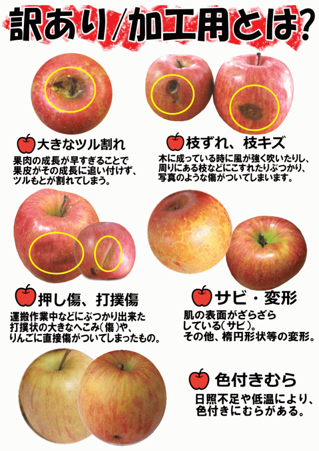 加工用訳ありについて