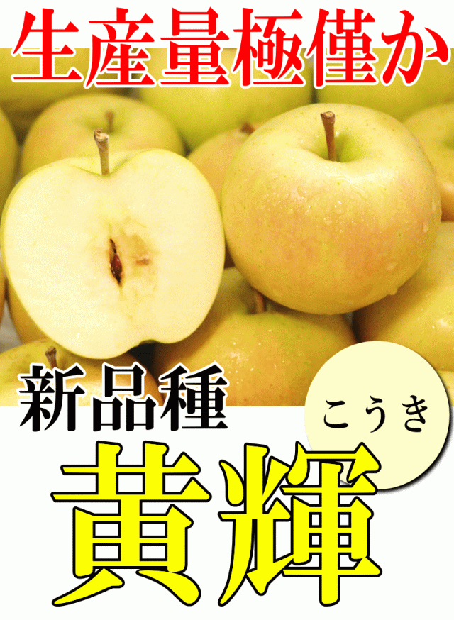 生産量ごく僅かの黄輝とは