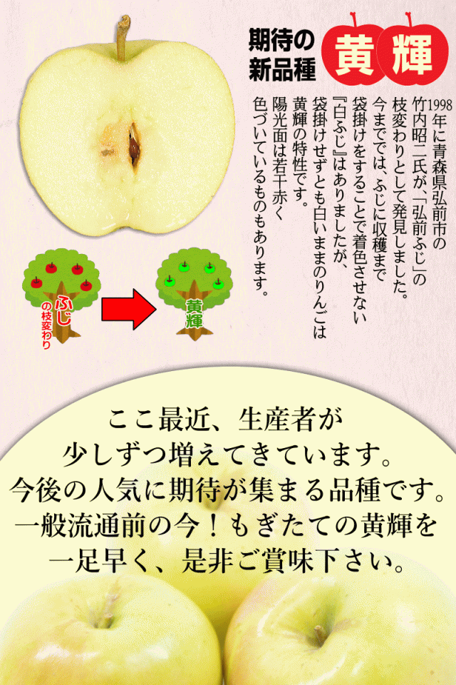 黄輝の歴史