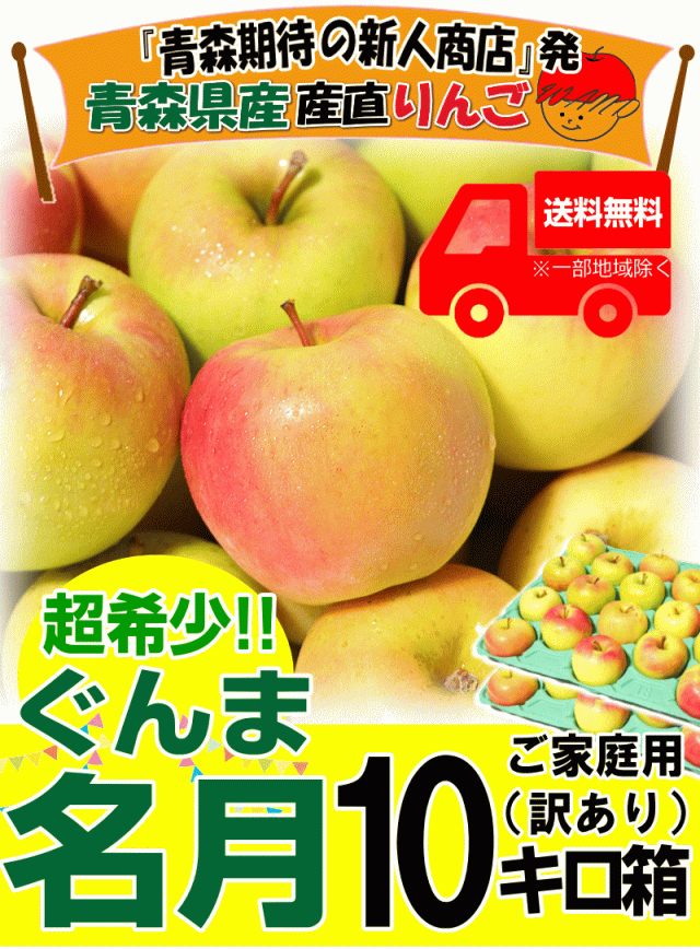 ぐんま名月10キロ箱