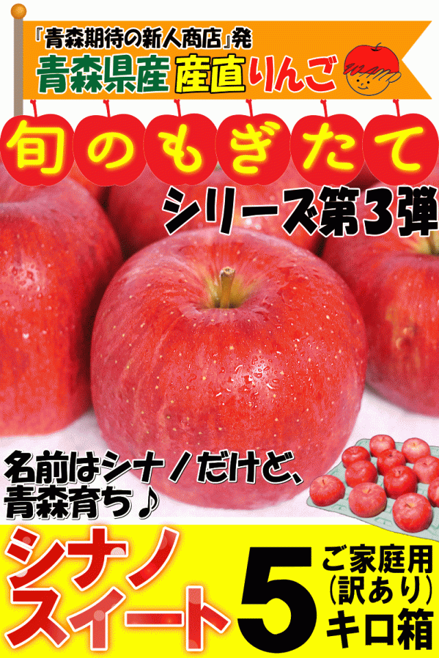 青森りんご5キロ箱家庭用/訳あり