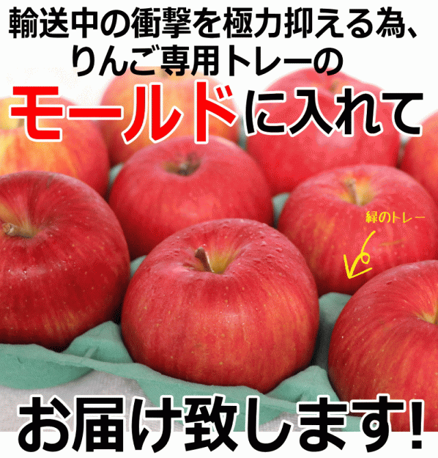 モールド梱包