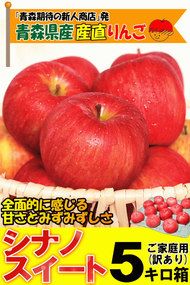 青森りんご5キロ箱家庭用/訳あり