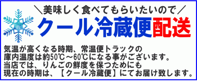 クール推奨