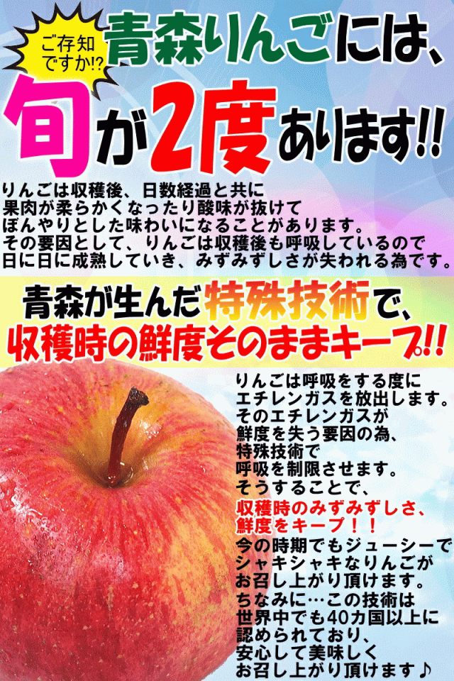 青森りんごの旬は2度