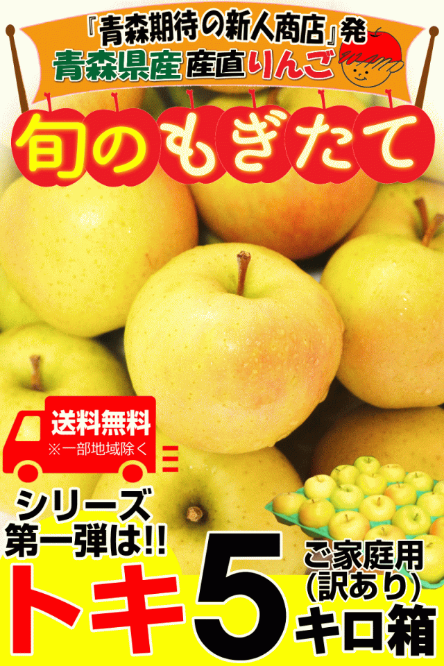 りんごトキ5キロ箱