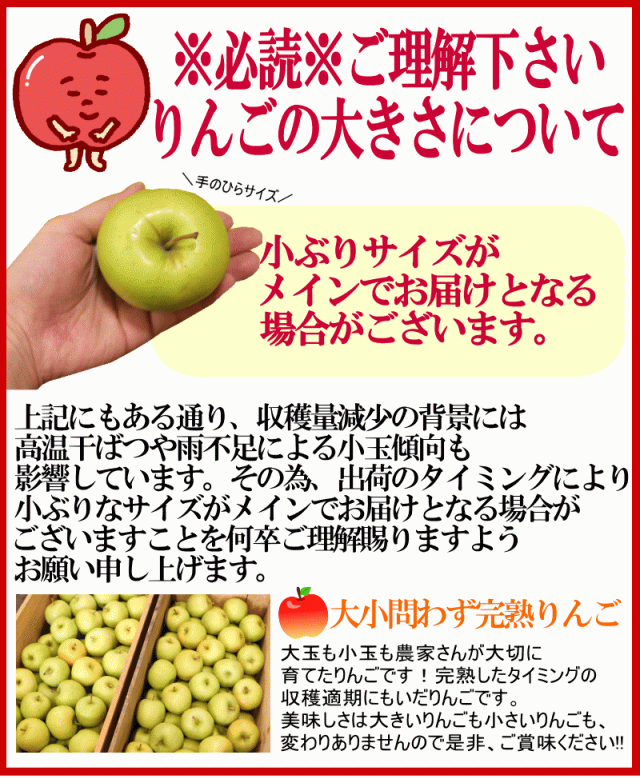 大きさについて