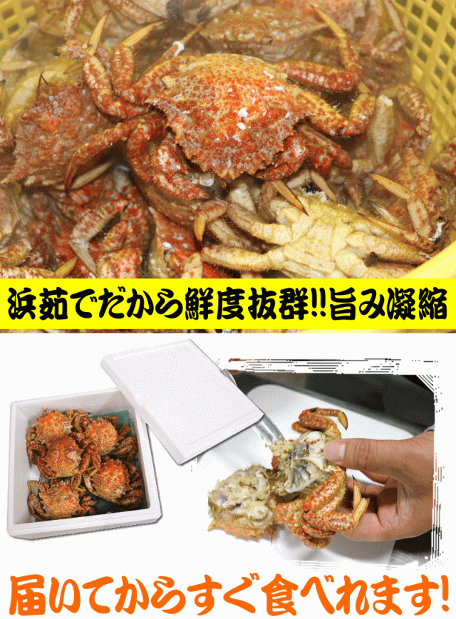 届いてからすぐ食べれます