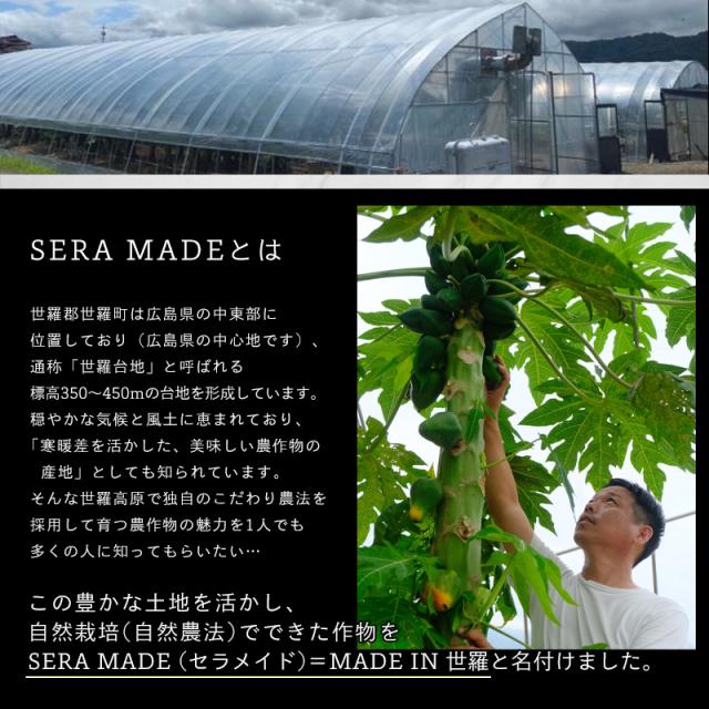 SERA MADEとは