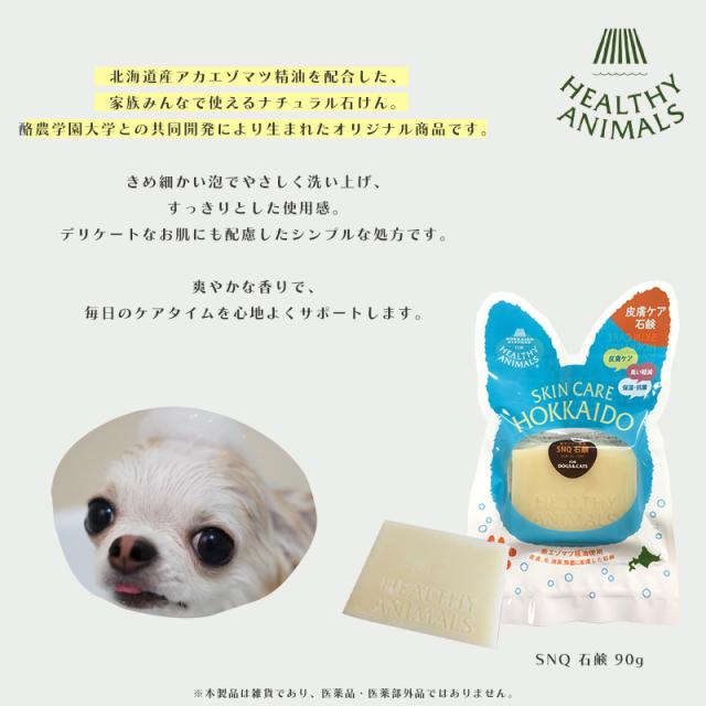 バスポン (炭酸入浴剤)