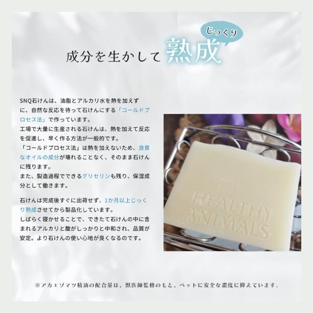 バスポン (炭酸入浴剤)