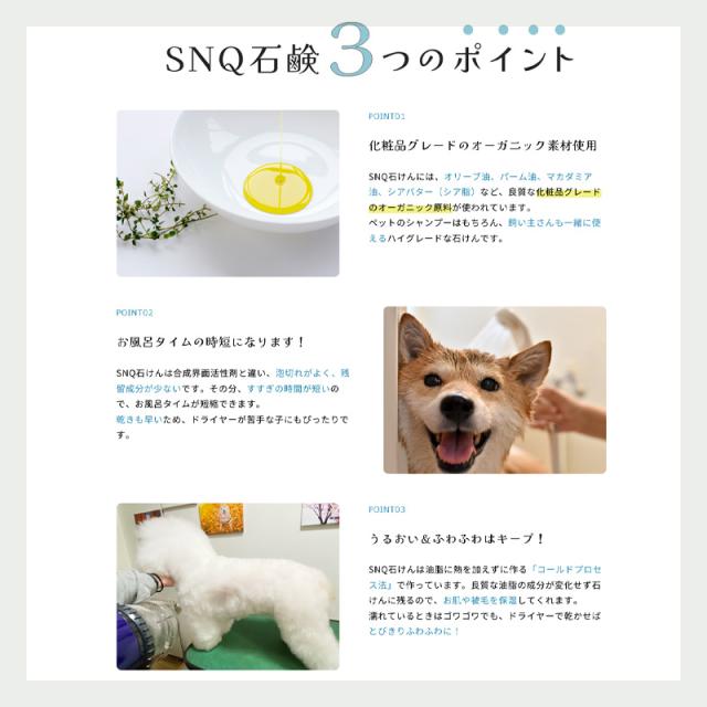 バスポン (炭酸入浴剤)