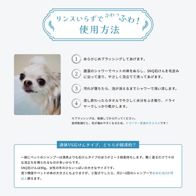 バスポン (炭酸入浴剤)