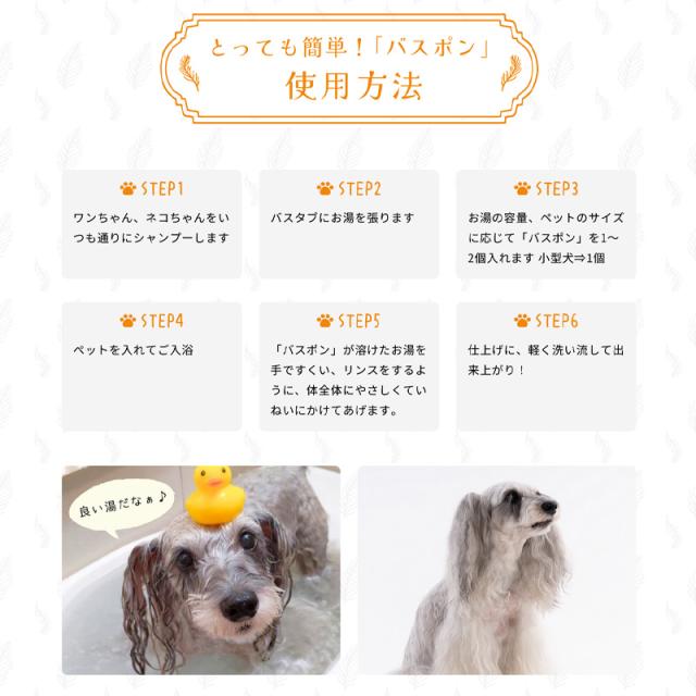 バスポン (炭酸入浴剤) 