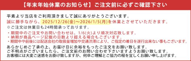 [送料込] Y.S.PARK メタルパドルブラシゴールド YS-AZ MG (国内正規品)