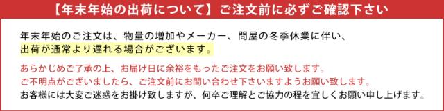 [送料込] Y.S.PARK メタルパドルブラシゴールド YS-AZ MG (国内正規品)