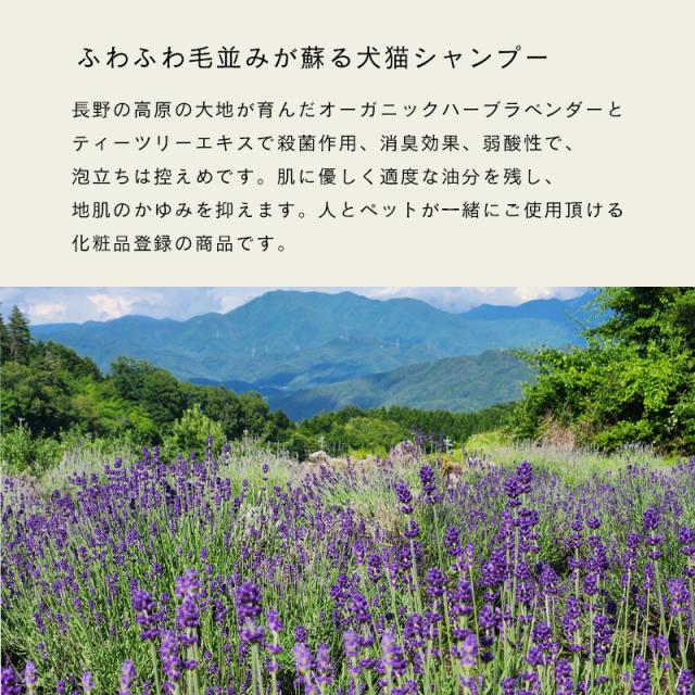 ふわふわ毛並みが蘇る犬猫シャンプー