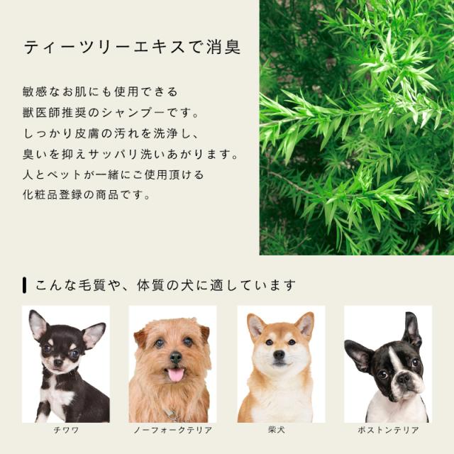ティーツリーエキスが殺菌・消臭
